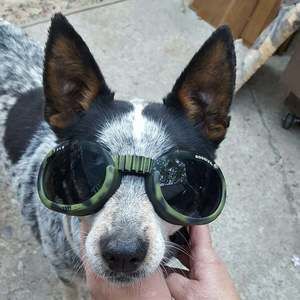 Meet your Posher, Treva